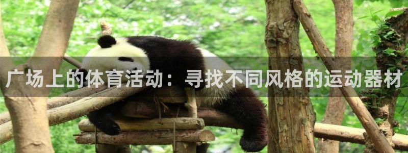 球王会官方平台体育：广场上的体育活动：寻找不同风格的