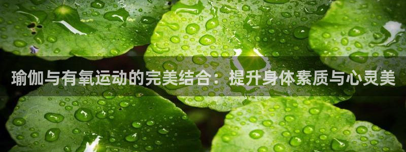 球王会体育官网下载平台：瑜伽与有氧运动的完美结合：提
