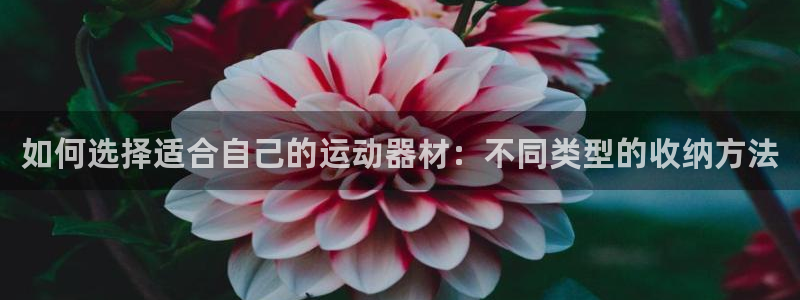 海南球王会体育官网下载发展怎么样：如何选择适合自己的