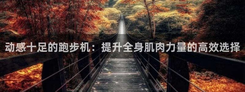 球王会体育官网下载招商：动感十足的跑步机：提升全身肌
