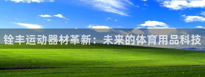 球王会体育官方正版app五金厂：铨丰运动器材革新：未