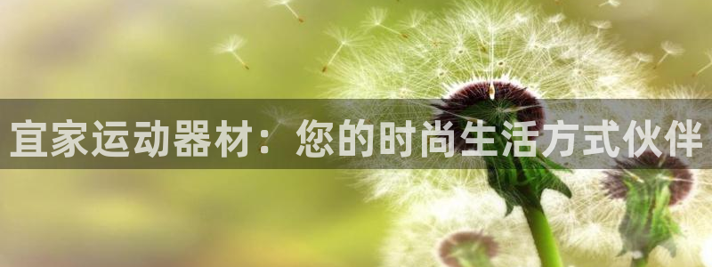 球王会体育官网下载招商电话：宜家运动器材：您的时尚生活方式伙