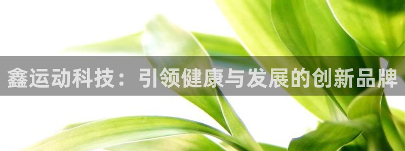 球王会体育官方正版app集团logo：鑫运动科技：引领健康与