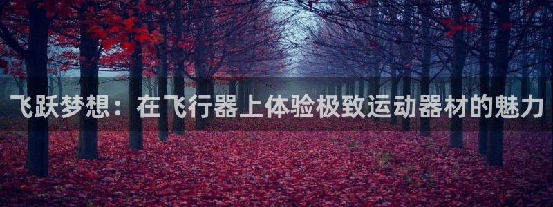 球王会体育官方正版app娱乐：飞跃梦想：在飞行器上体验极致运