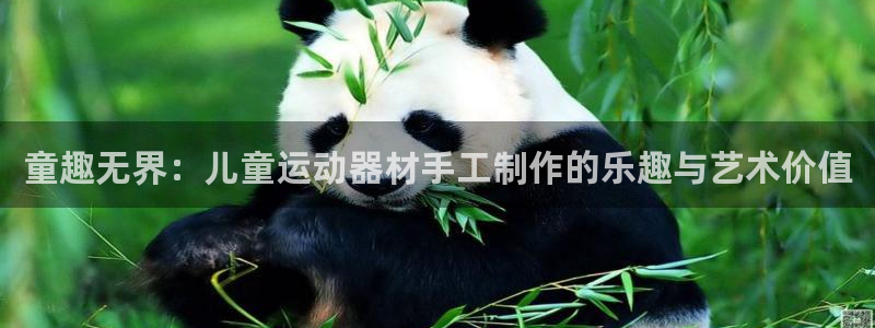 球王会体育官网下载平台：童趣无界：儿童运动器材手工制作的乐趣