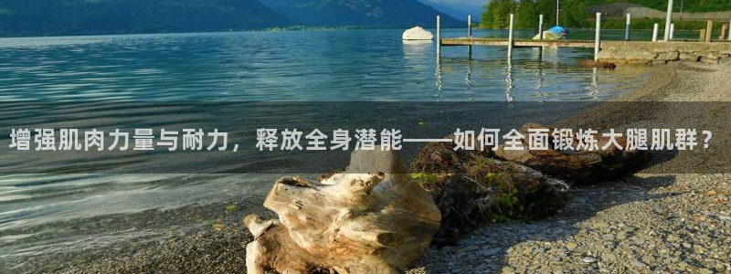 球王会体育官网下载