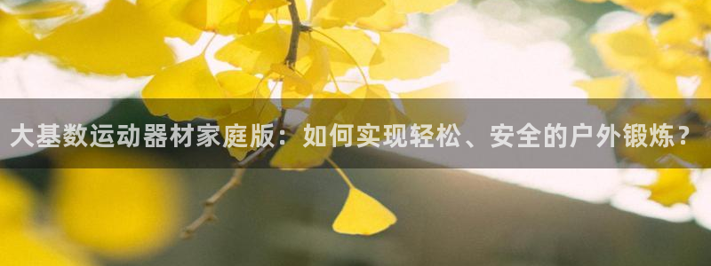 球王会体育官方正版app集团官网首页：大基数运动器材家庭版：