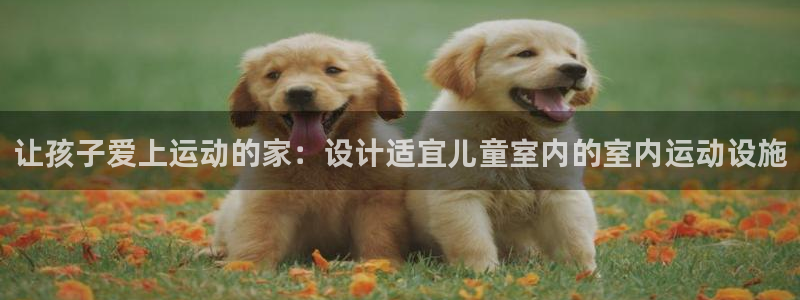 球王会体育官方正版app开户：让孩子爱上运动的家：设计适宜儿