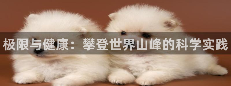 球王会体育官方正版app娱乐是那个系列的台子：极限与健康：攀