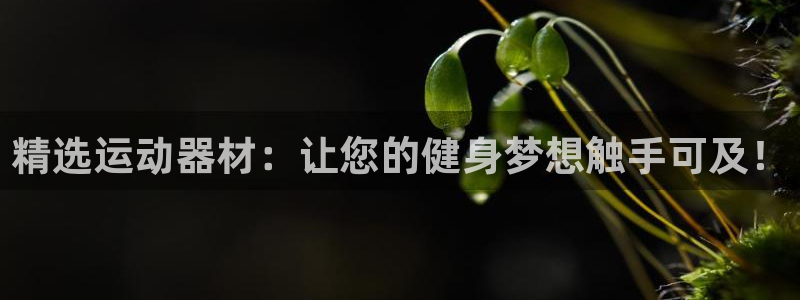 球王会官方平台体育：精选运动器材：让您的健身梦想触手可及！